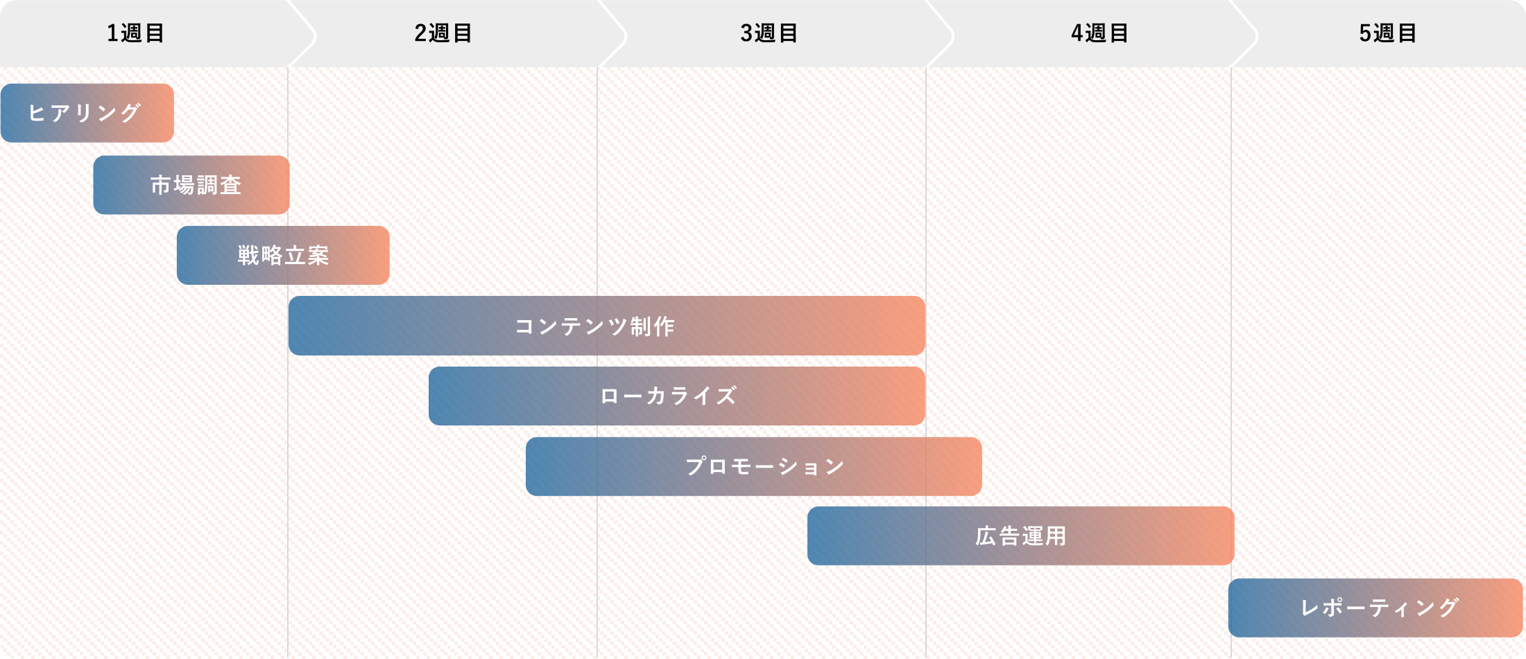 スケジュール