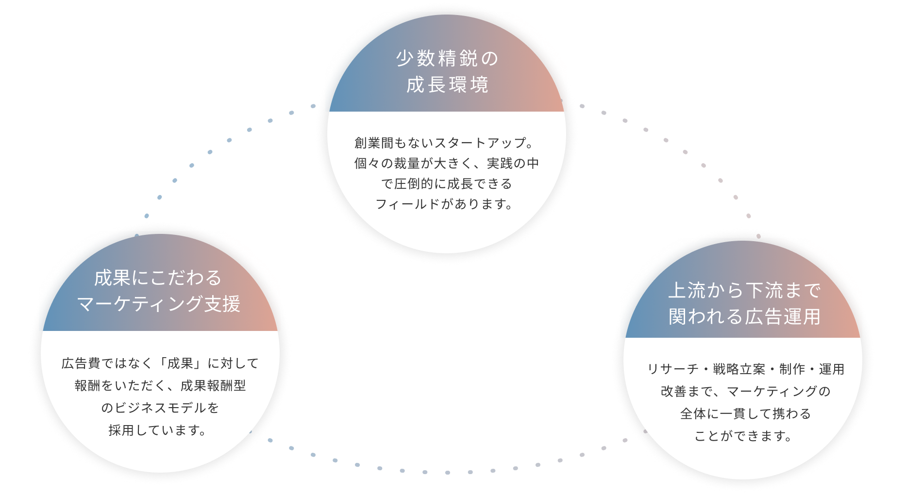 少数精鋭の成長環境|成果にこだわる マーケティング支援|上流から下流まで関われる広告運用